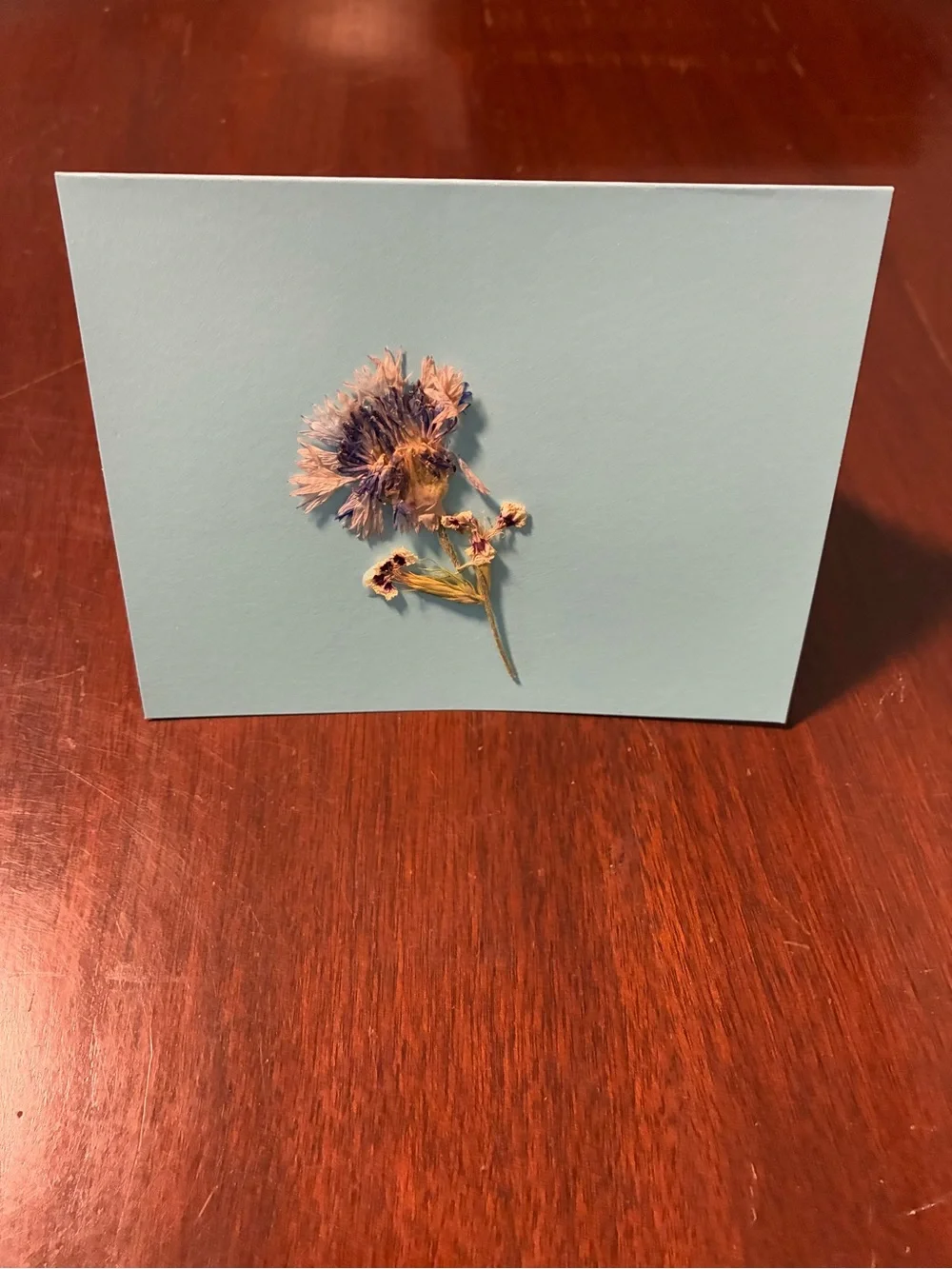 Handmade Pressed Flowers on Blank Note Card - Minimal Botanical Stationery